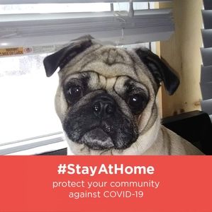 Meet your Posher, Adam